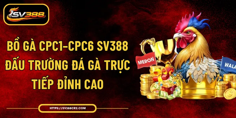 Bồ Gà CPC1–CPC6 SV388 - Đấu Trường Đá Gà Trực Tiếp Đỉnh Cao