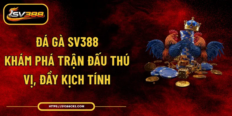 Đá Gà SV388 - Khám Phá Trận Đấu Thú Vị, Đầy Kịch Tính 1 Đá Gà SV388 - Khám Phá Trận Đấu Thú Vị, Đầy Kịch Tính